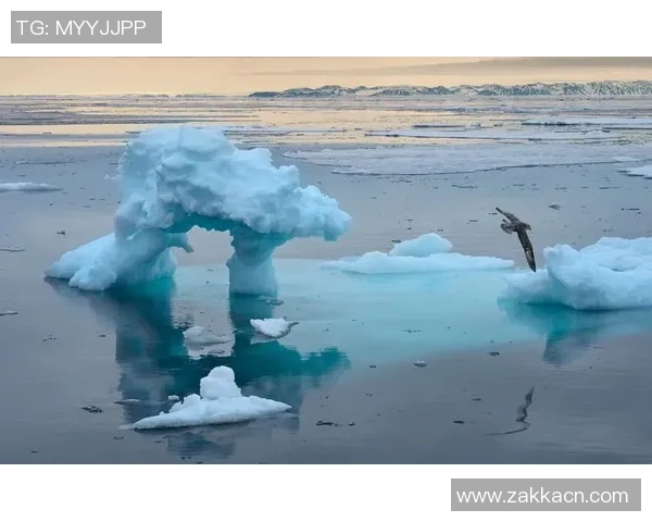 全球气候变化加剧引发极端天气频发 各国应对措施亟待升级