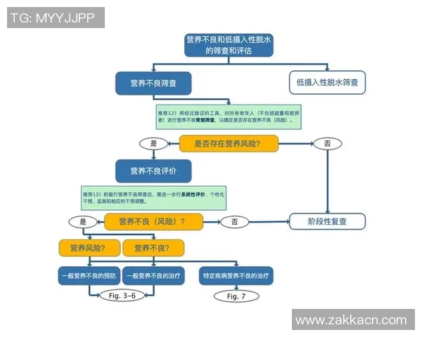 足球技术提升全解析 从基本动作到高级战术应用的全面指南
