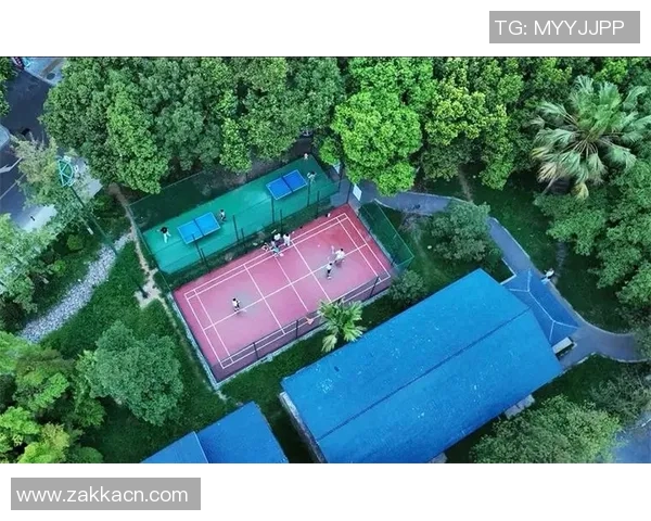 青衣运动场周边设施提升计划：打造市民健身新天地，推动社区健康发展